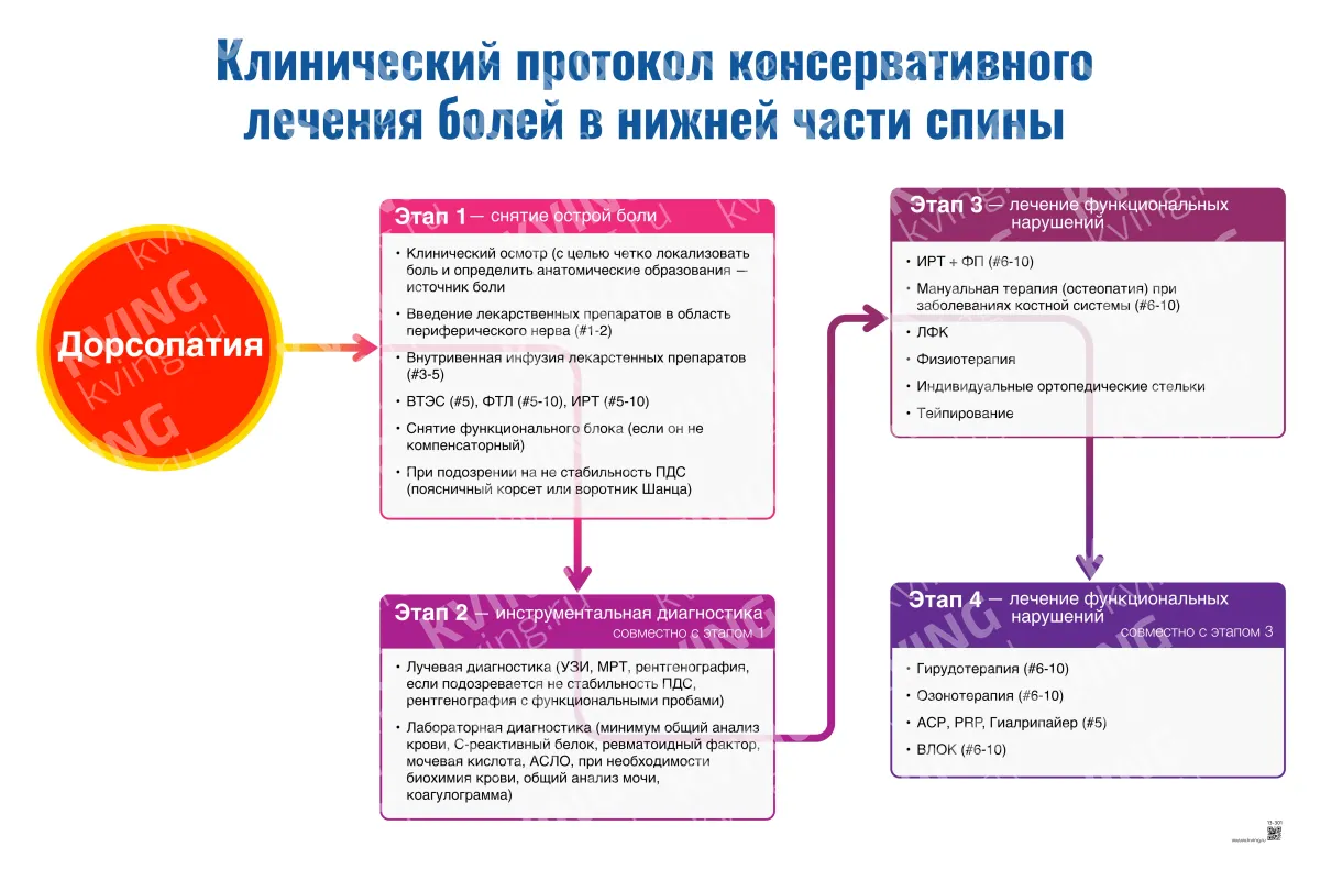 Клинический протокол консервативного лечения болей в нижней части спины: дорсопатия — медицинский плакат
