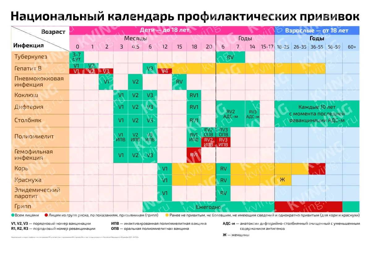 Национальный календарь профилактических прививок — медицинский плакат
