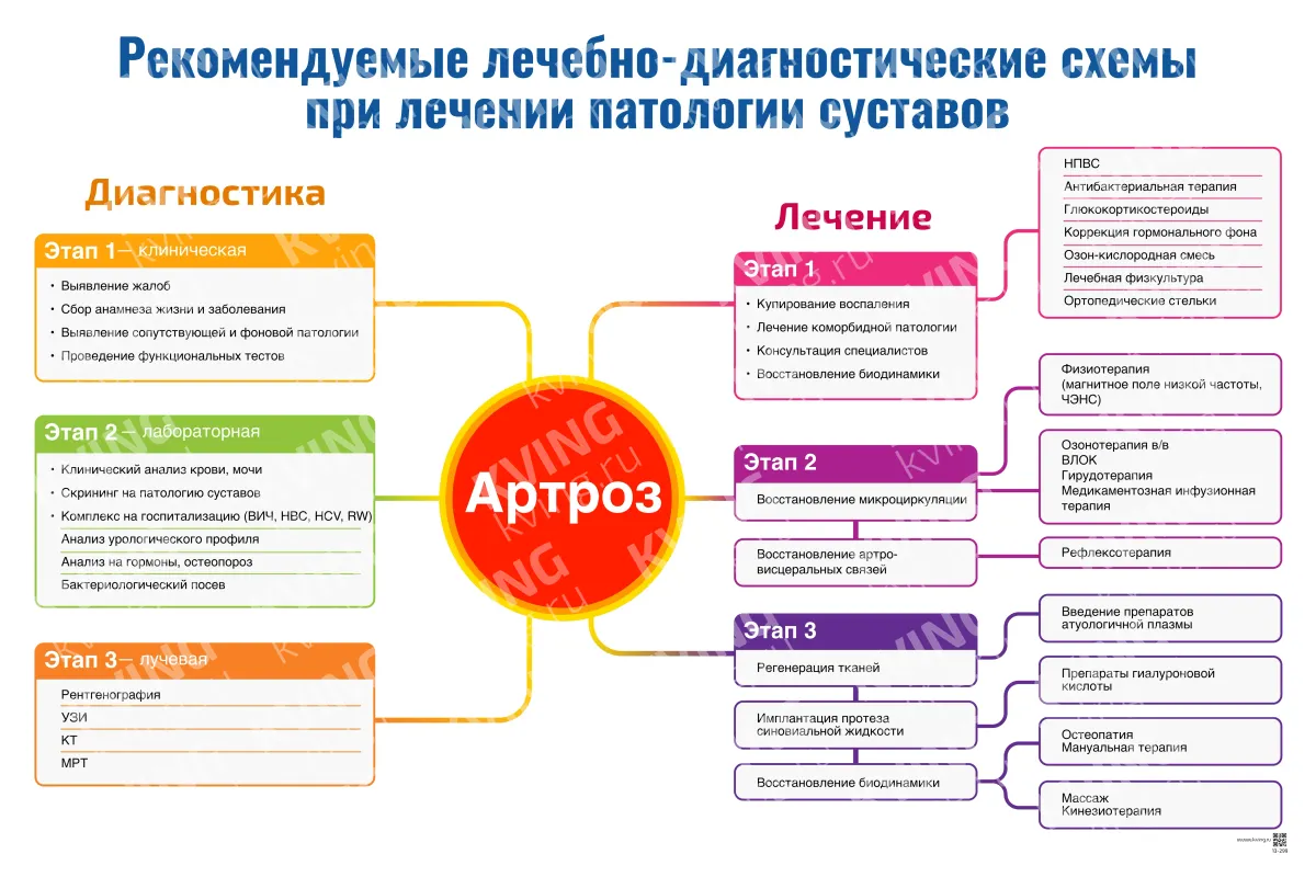 Рекомендуемые лечебно-диагностические схемы при лечении патологии суставов: артроз — медицинский плакат