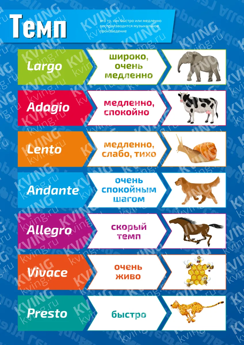 Темп в музыке — плакат по музыке