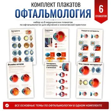Комплект плакатов для кабинета офтальмолога