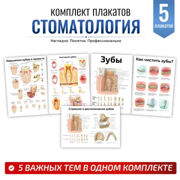 Комплект плакатов для кабинета стоматолога