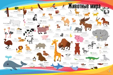 Животные мира — развивающий плакат