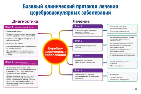 Базовый клинический протокол лечения цереброваскулярных заболеваний I — медицинский плакат