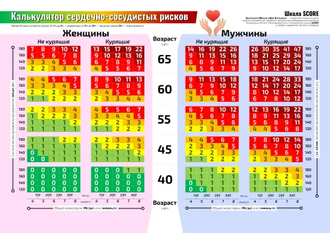 Калькулятор сердечно-сосудистых рисков (Шкала SCORE) — медицинский плакат