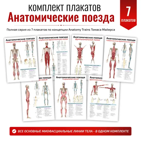 Комплект плакатов «Анатомические поезда»