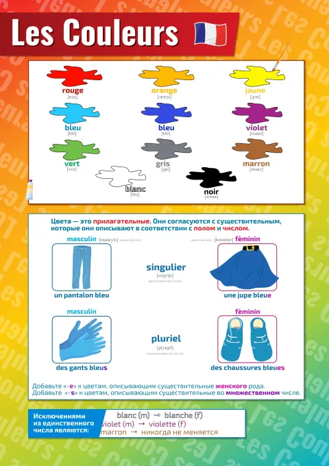 Les Couleurs: цвета — плакат по французскому языку с произношением и переводом