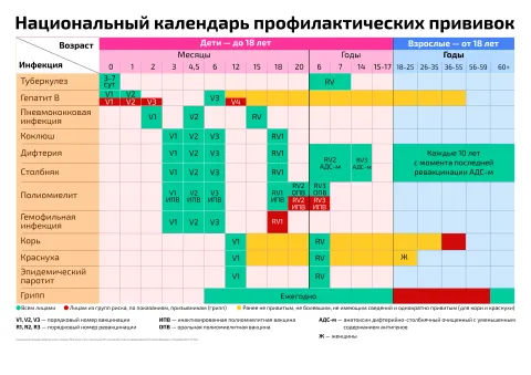 Национальный календарь профилактических прививок — медицинский плакат