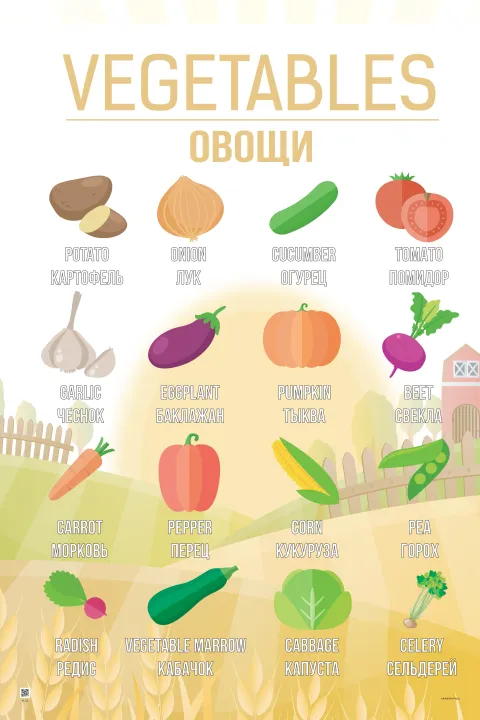 Овощи I — плакат по английскому языку, с переводом