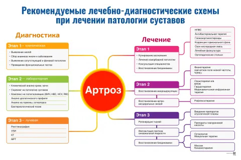 Рекомендуемые лечебно-диагностические схемы при лечении патологии суставов: артроз — медицинский плакат
