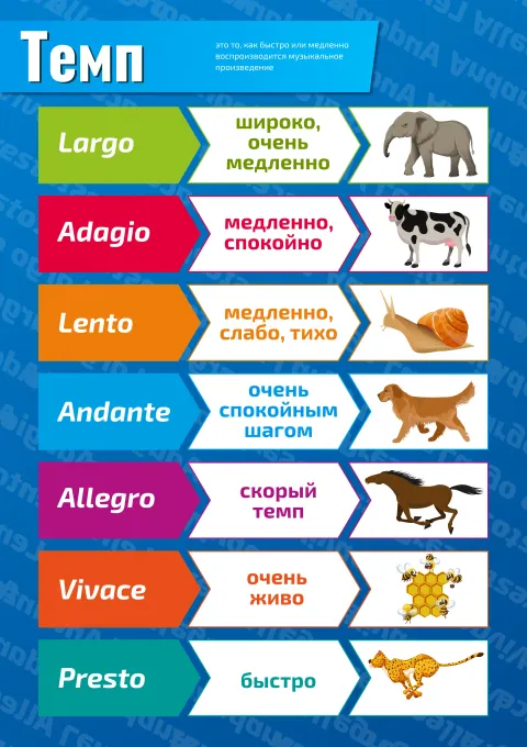 Темп в музыке — плакат по музыке