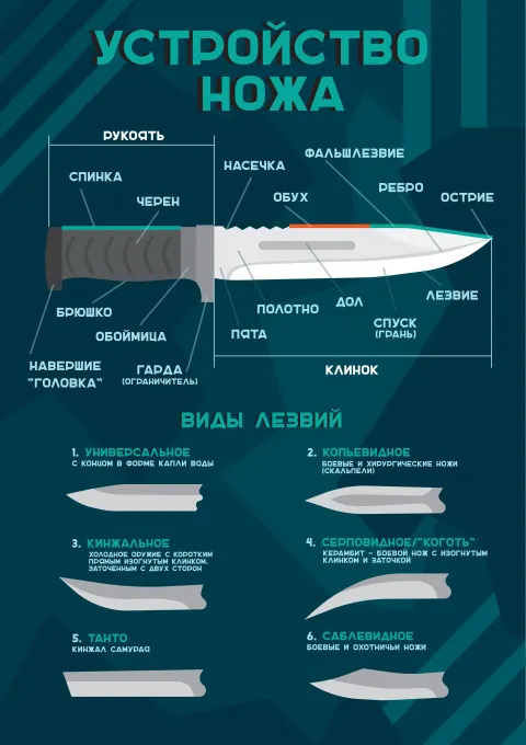 Устройство ножа — развивающий плакат