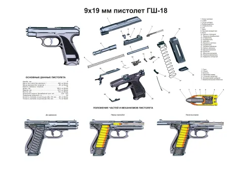 Устройство пистолета ГШ-18 — развивающий плакат
