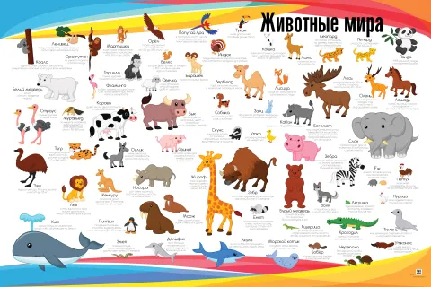 Животные мира — развивающий плакат