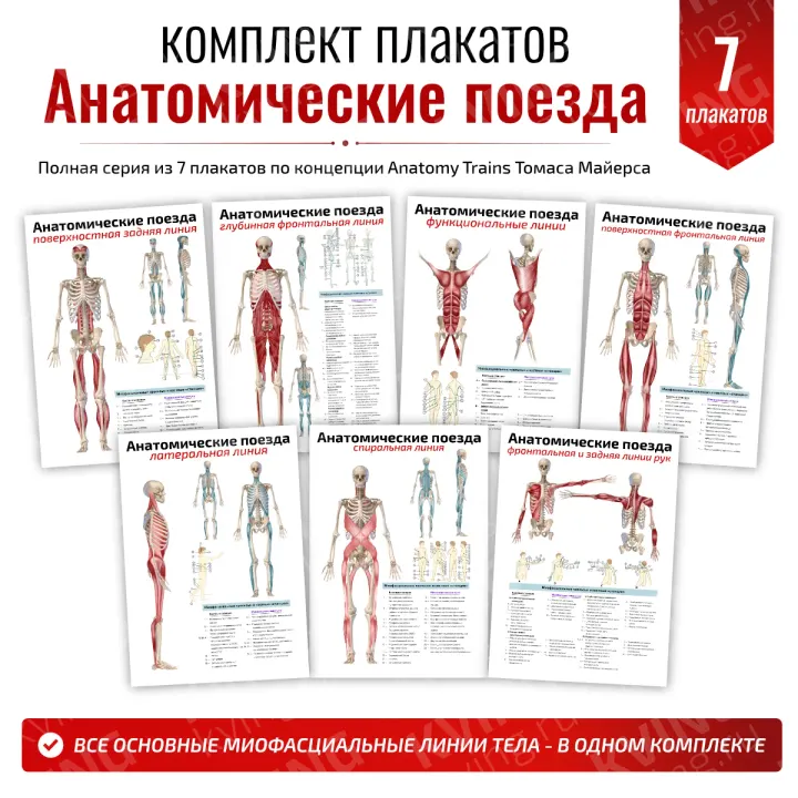 Комплект плакатов «Анатомические поезда»