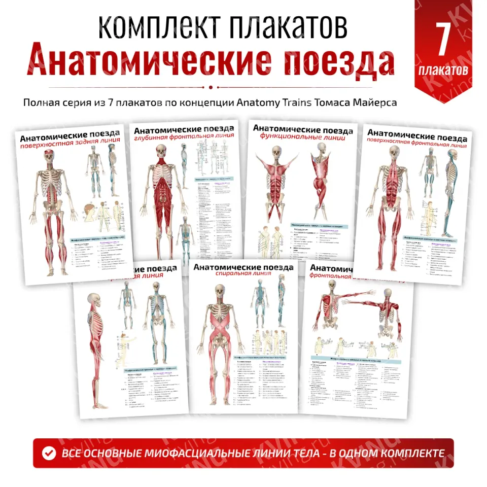 Комплект плакатов «Анатомические поезда»