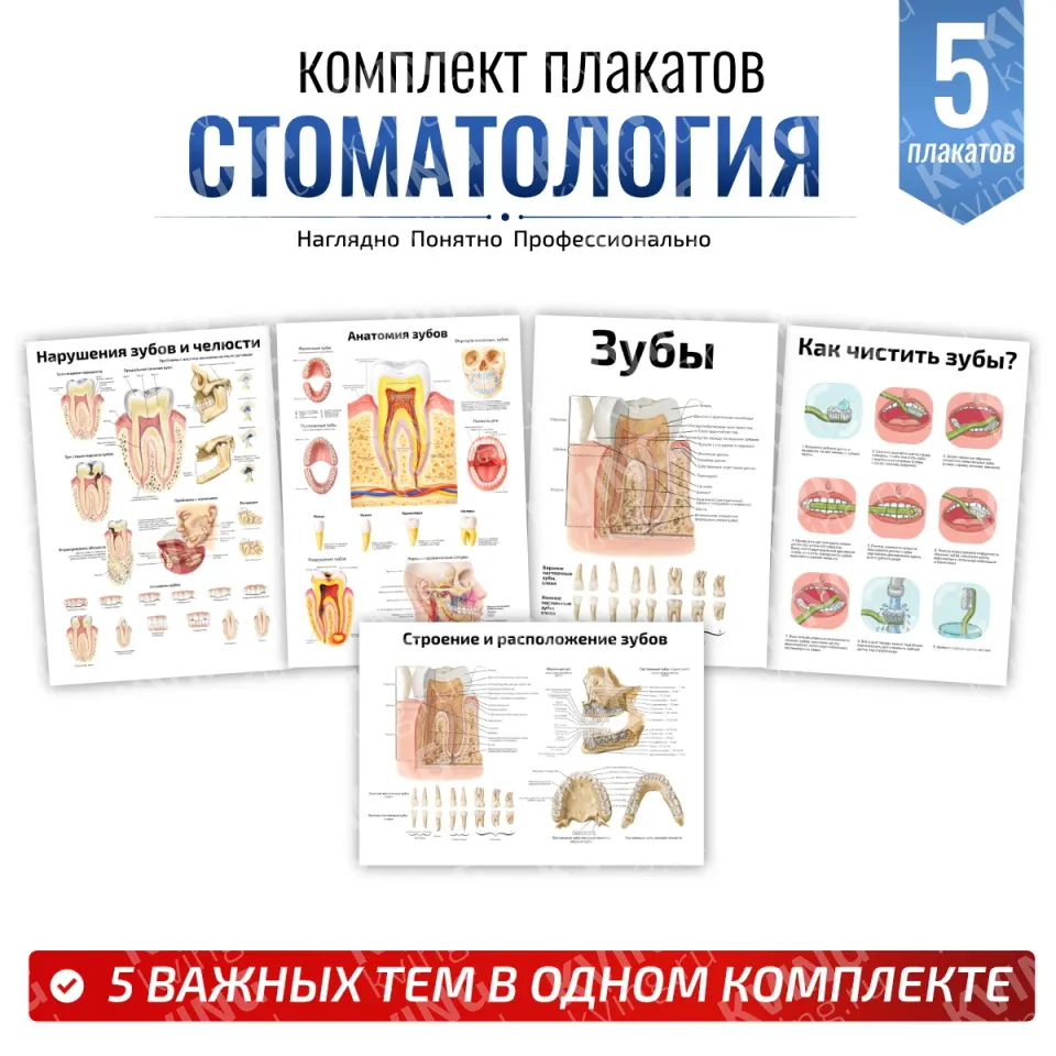 Комплект плакатов для кабинета стоматолога